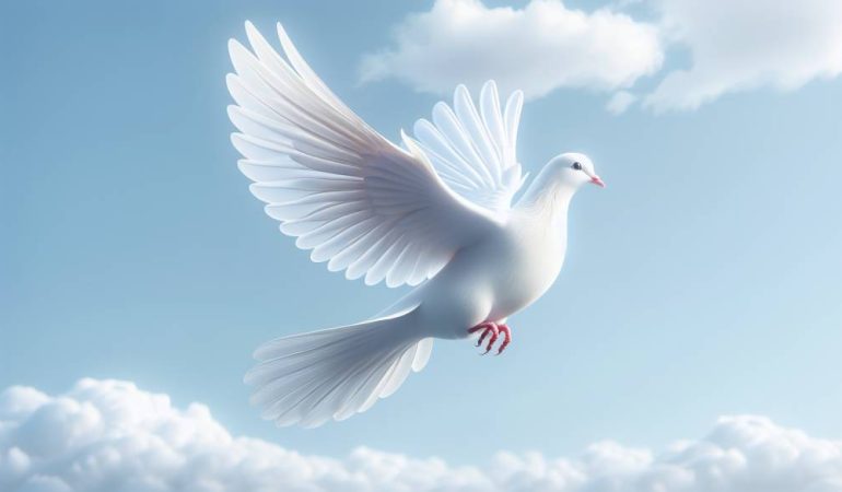 La colombe signification dans la paix et l'amour